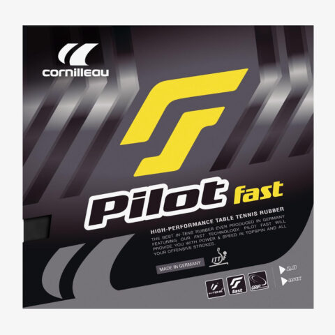 pilot-fast (1)